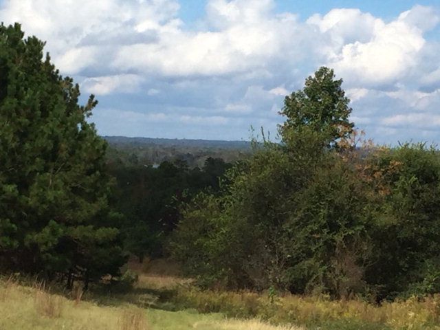431 Us Hwy 431, Eufaula, AL 36027